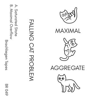 Maximal Aggregate | Falling Cat Problem | Brachliegen Tapes
