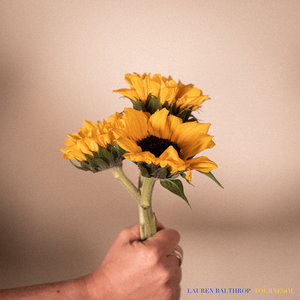 Tournesol cover