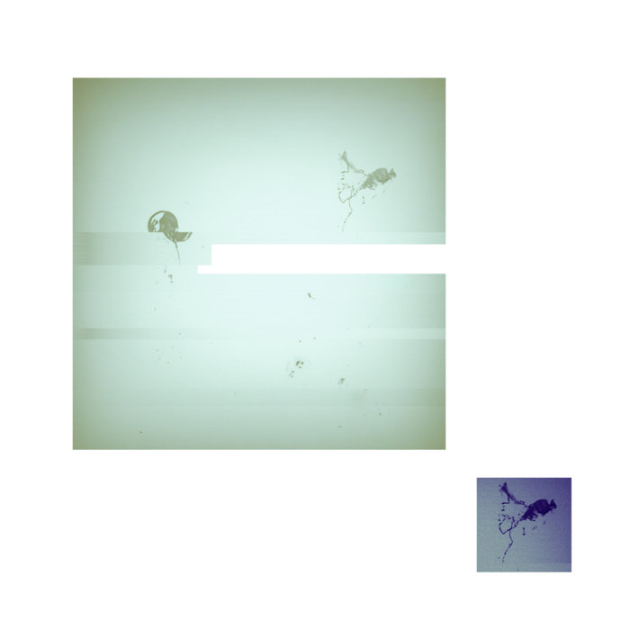 Spacejellyfish, by Machine Artists Rejoice