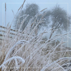 Coventry Carol cover