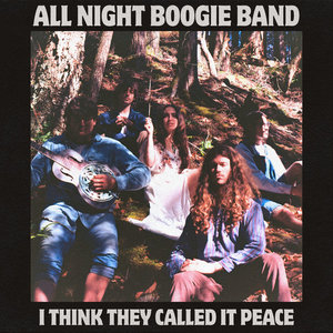 All Night Boogie Band — I Think They Called It Peace