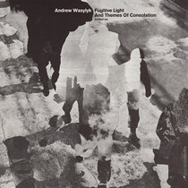 Fugitive Light and Themes of Consolation cover art