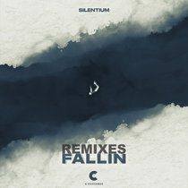 Fallin (Remixes) cover art