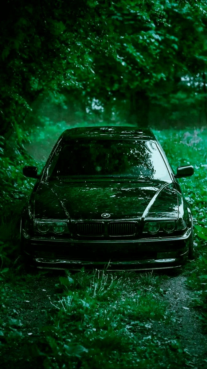 Bloom Mercy Women | Ostrophonic