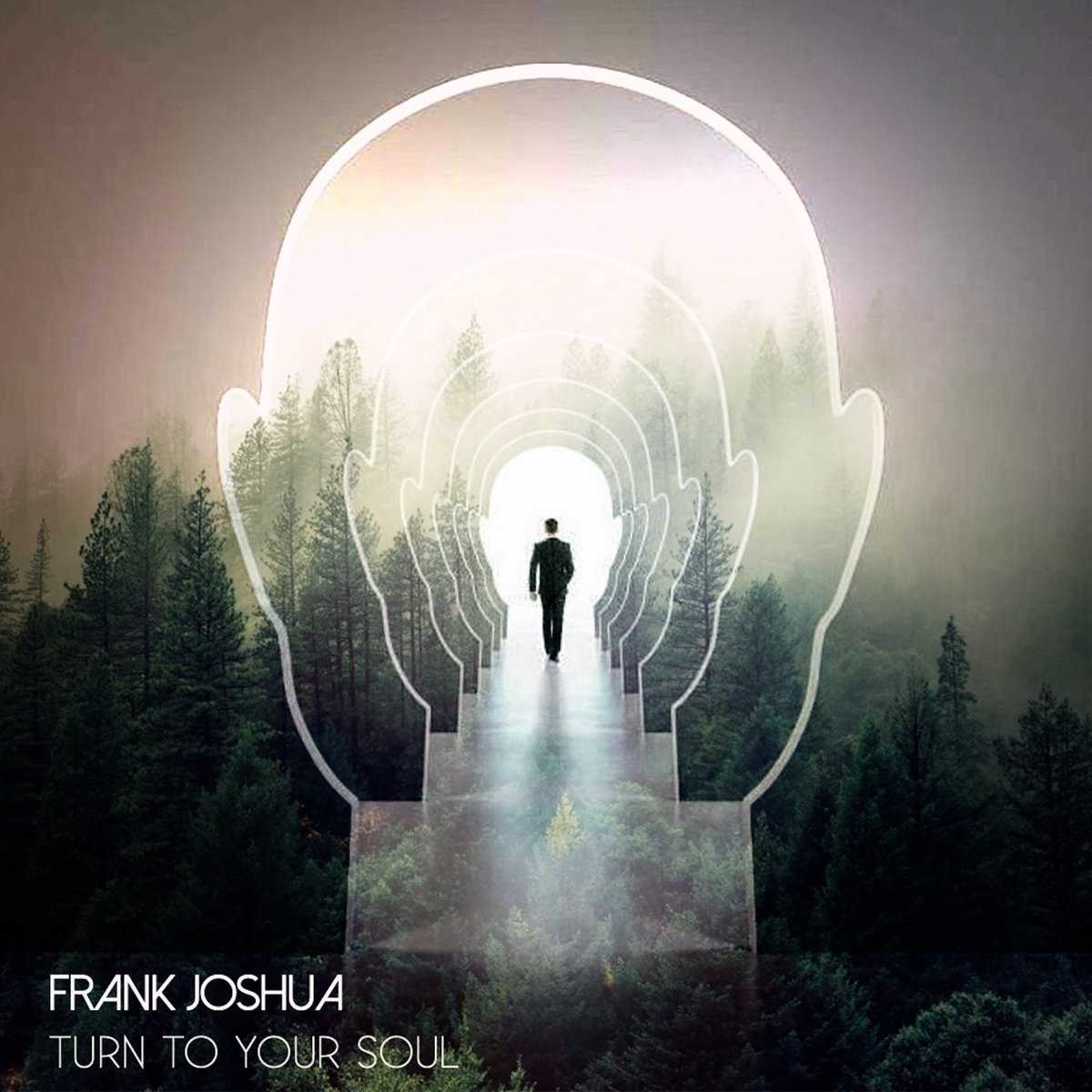 Turn To Your Soul | Frank Joshua | Numen Records