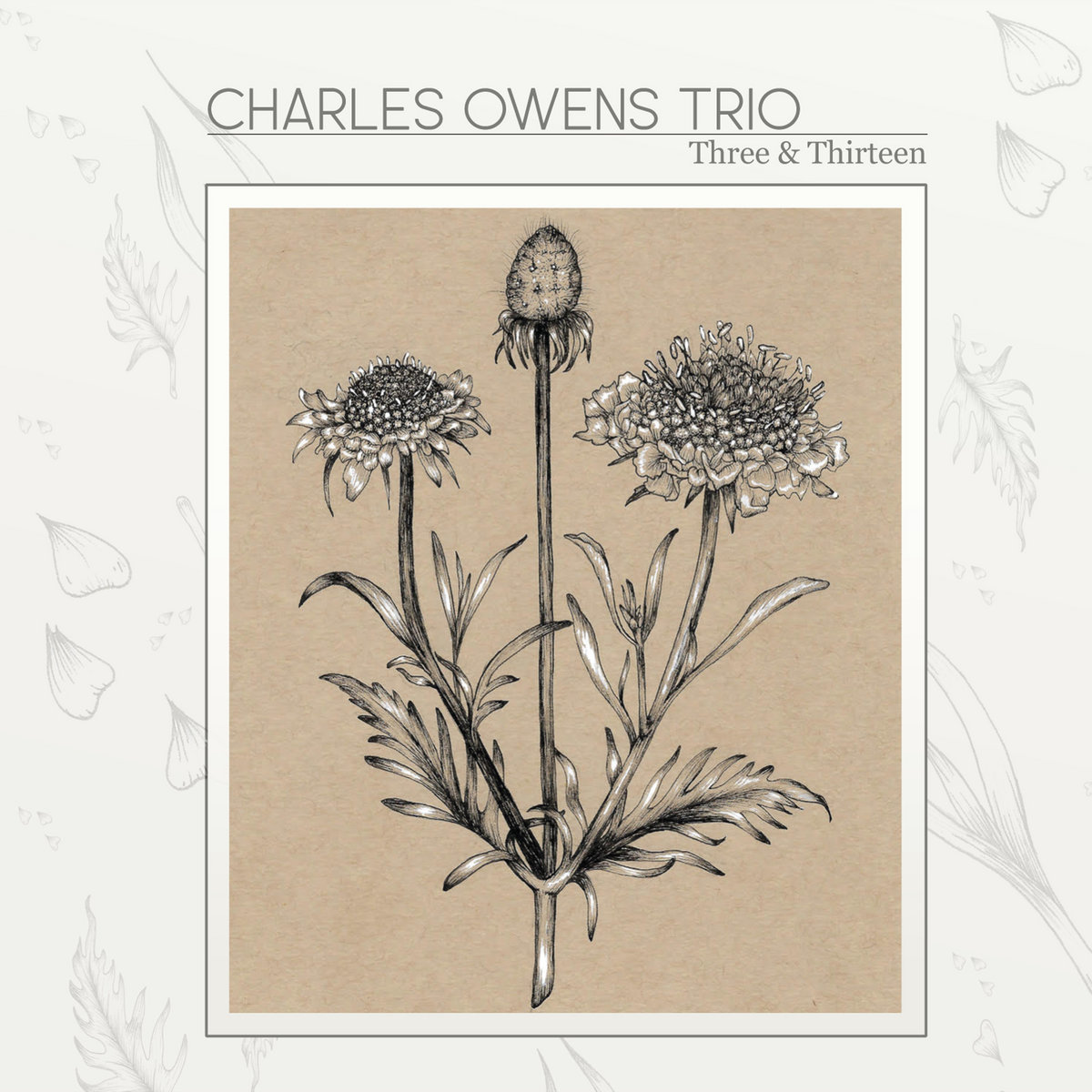 Three and Thirteen by Charles Owens