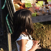 Afternoon Stroll cover art