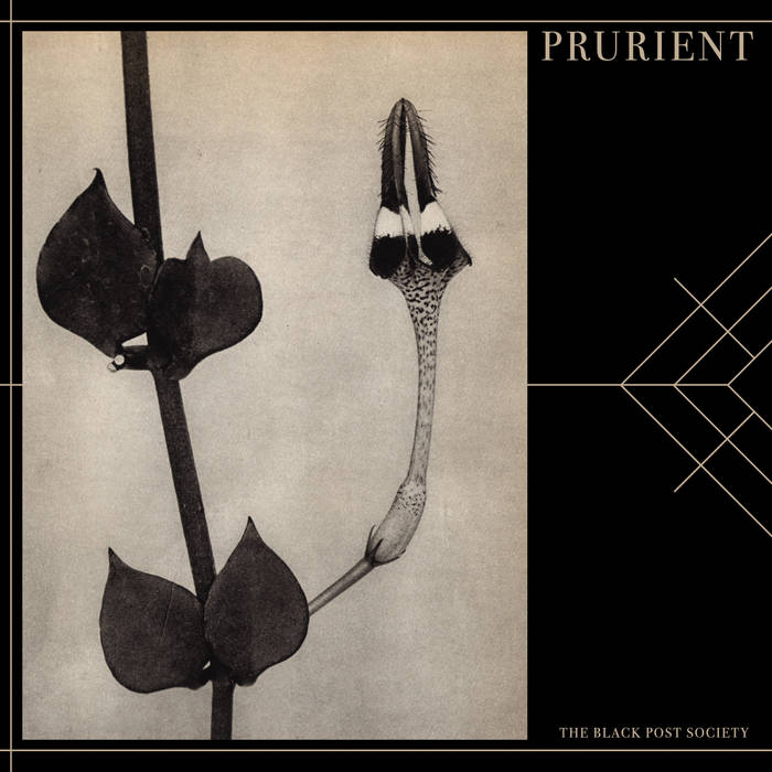 The Black Post Society (CSR85CD) | Prurient | Cold Spring
