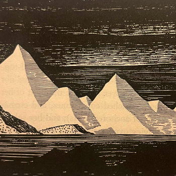 Album artwork for no signal