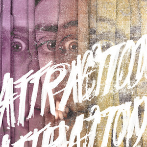 Attraction cover
