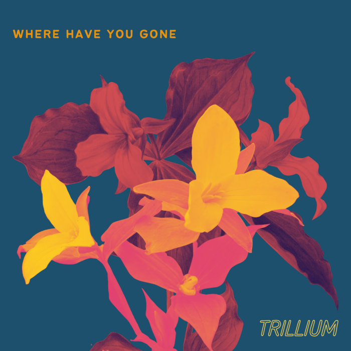 where-have-you-gone-trillium