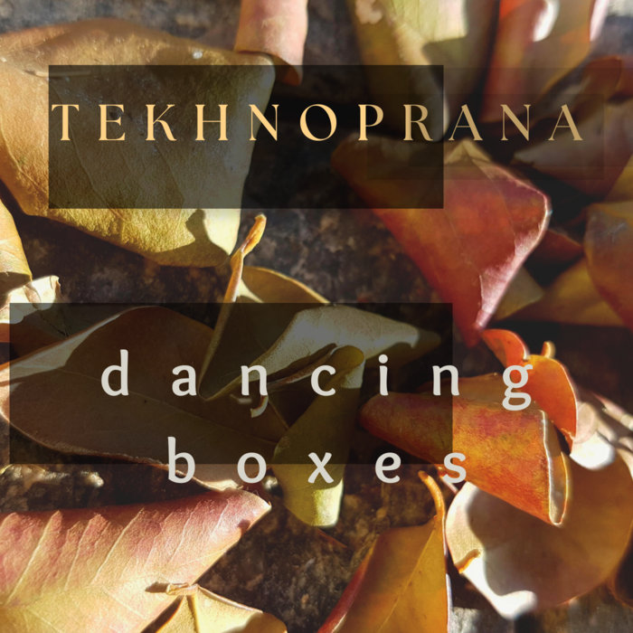 Dancing Boxes Tekhnoprana