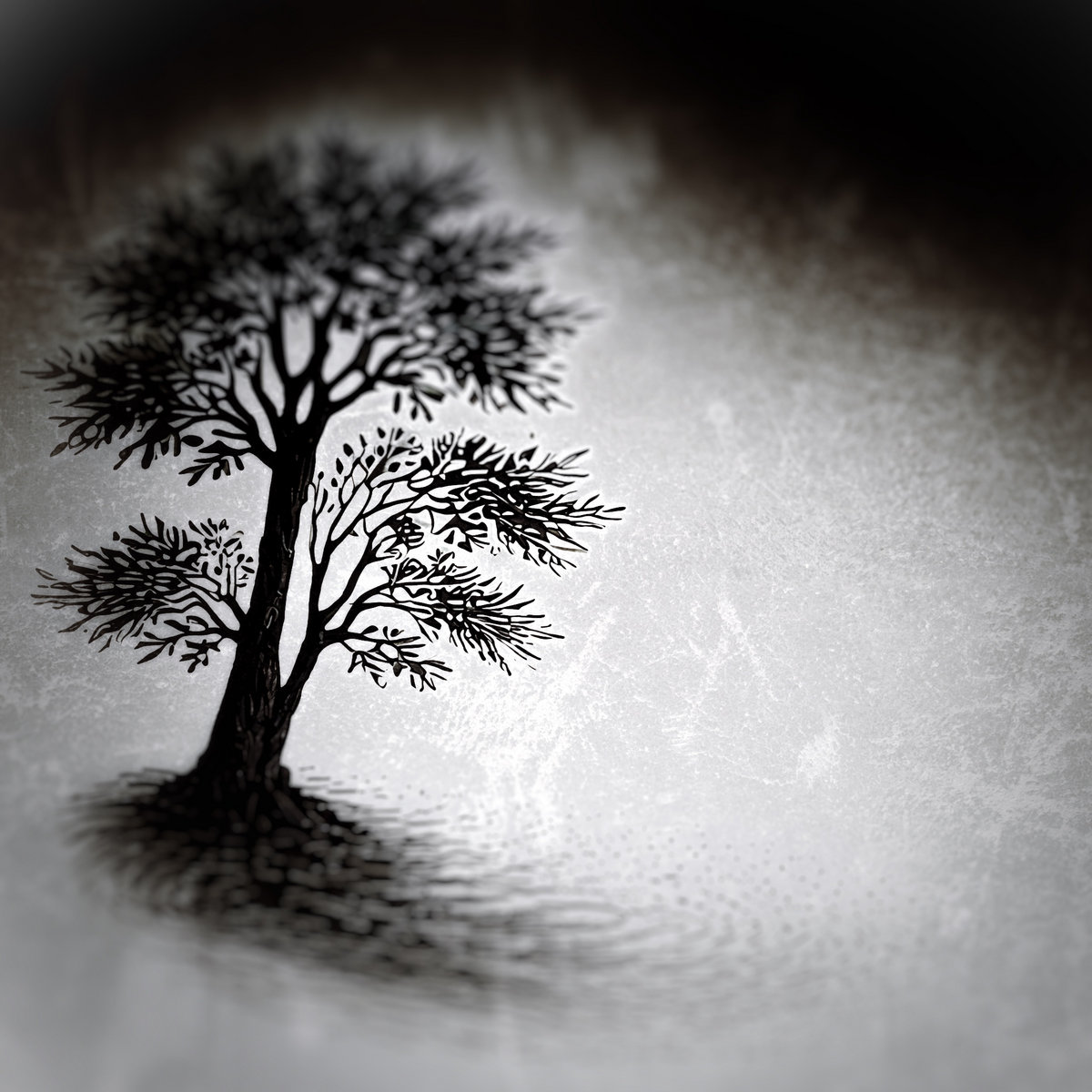 The Forgotten Verse
