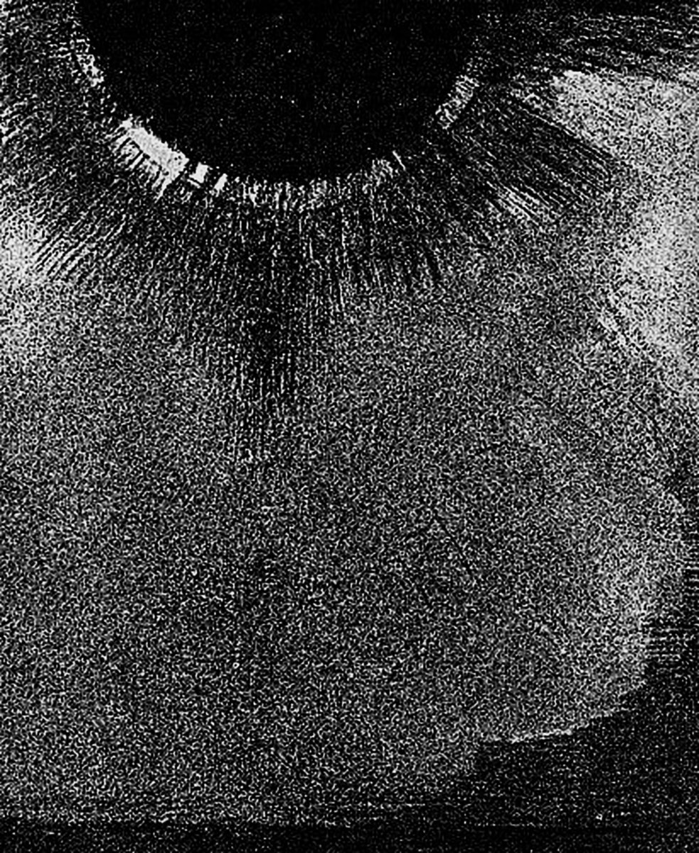 a1563698888_10.jpg