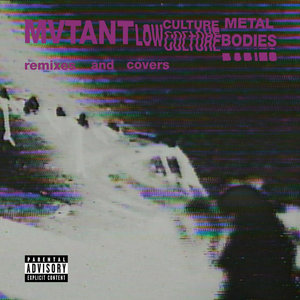 Low Culture Metal Bodies (remixes and covers) cover