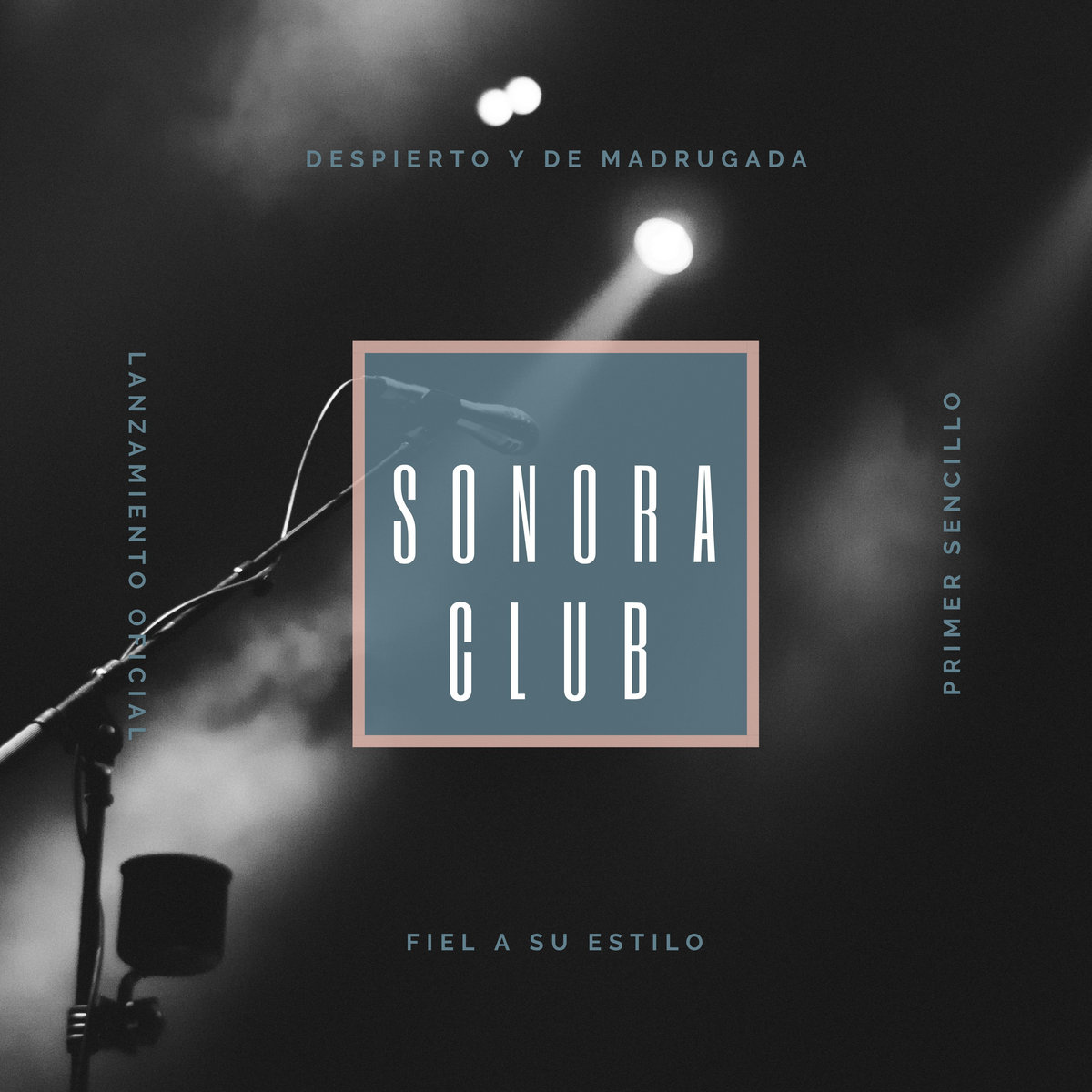 foto di sonora club different pleasure