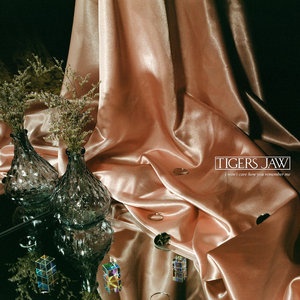 Tigers Jaw — I Won't Care How You Remember Me