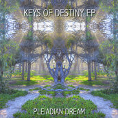Pleiadian Music & Artists | Bandcamp