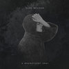 A Magnificent Gray / Memoria