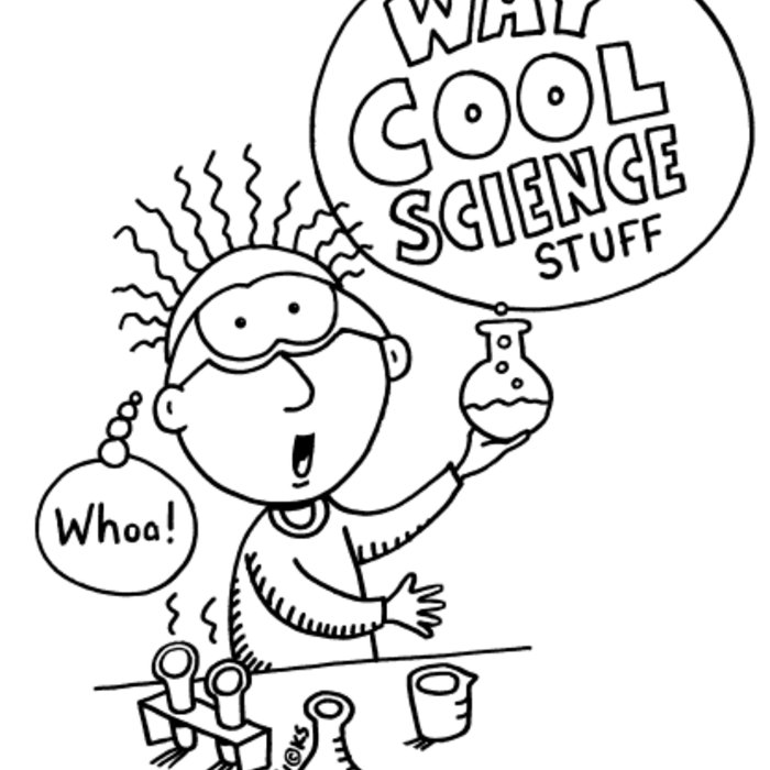 Way Cool Science Stuff Sunflower Seeds