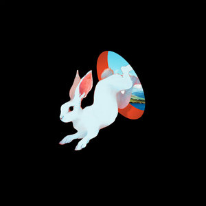 Ganser — Animal Hospital