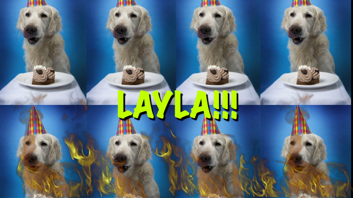 HAPPY BIRTHDAY LAYLA! | Epic Happy Birthdays
