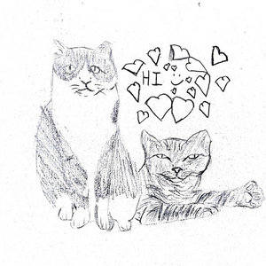 hi <3 (bedroom collection) cover