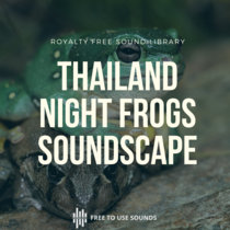 Frog Sound Effects Library At Night Thailand cover art