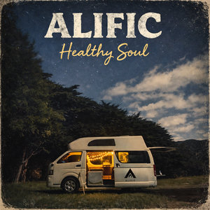 Healthy Soul cover