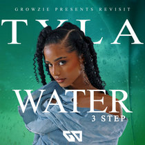 Water (3 Step) (Revisit) cover art