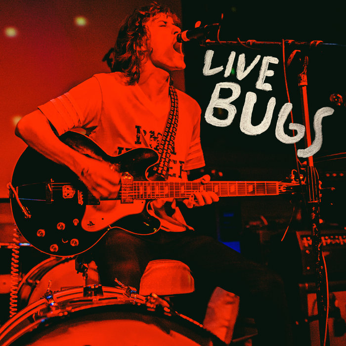 Live Bugs | Gus Baldwin