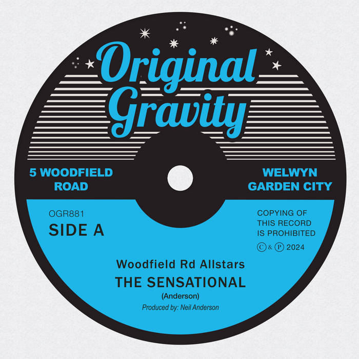 THE SKULL DISK DAMNGOOD!! × NATURE TONES a0149388824_5.jpg