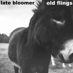 Split w/ Late Bloomer cover