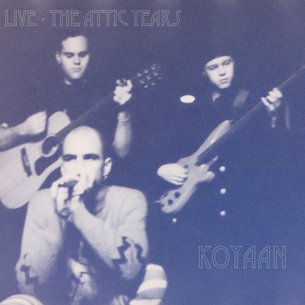 Tiptoe Through The Tulips Koyaan