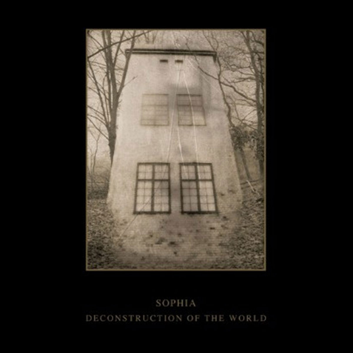 Bienal de Fotoperiodismo + CD 希少本 Bienal de Fotoperiodismo + CD 希少本 気質アップ Bienal de