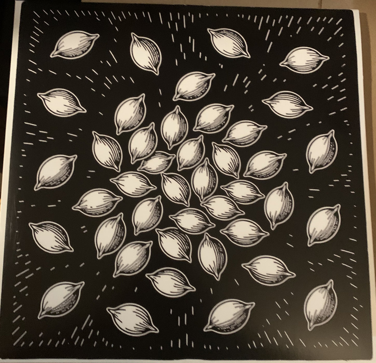 Planting Seeds | Various Artists | Seed Recordings