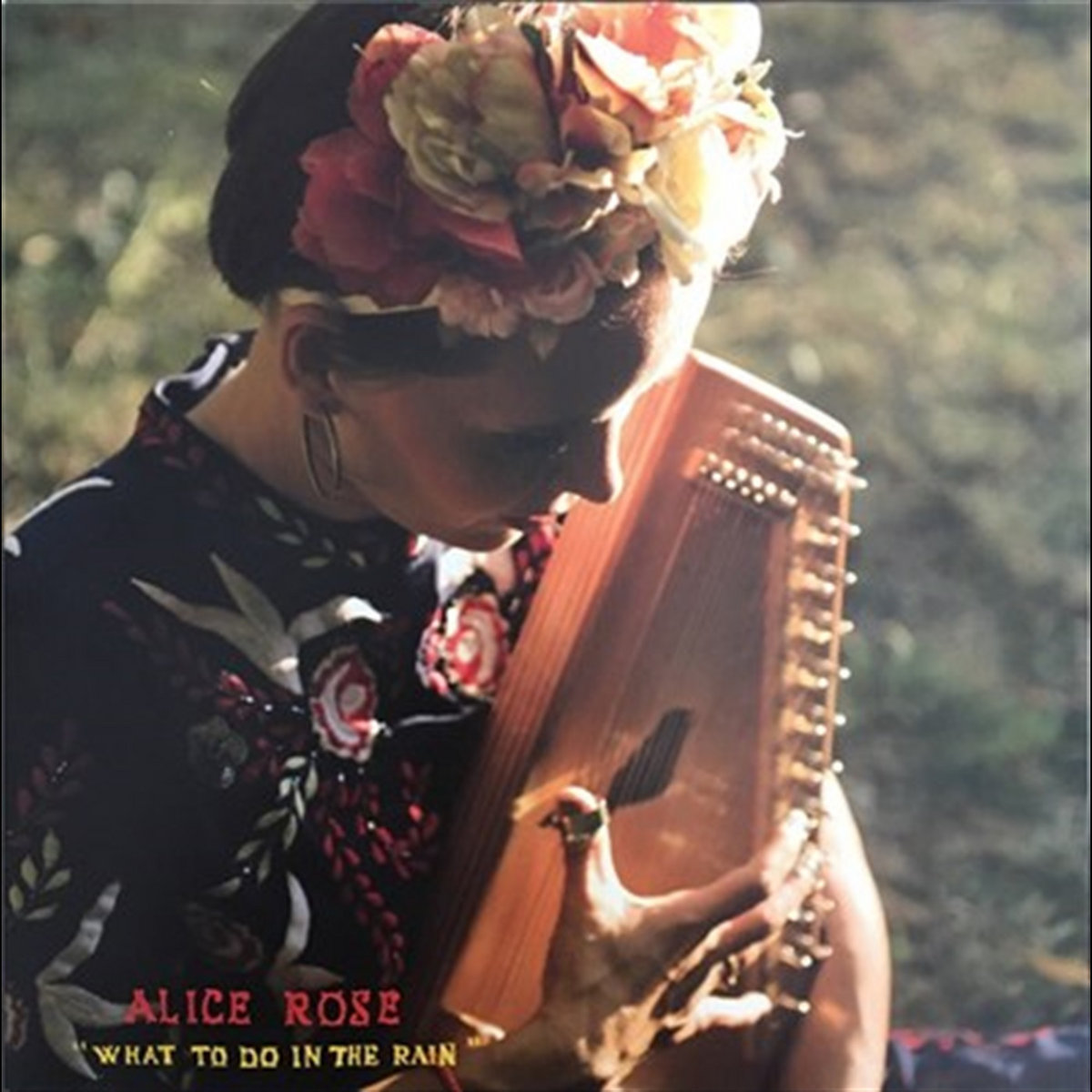 What To Do In The Rain | Alice Rose
