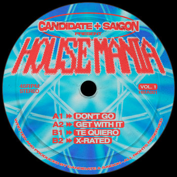 12インチ10枚セット 1990s house music ハウスシングル 12インチ10枚