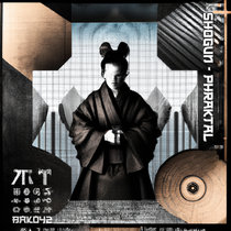 Shogun cover art