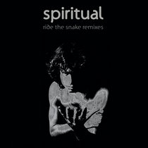 Ride The Snake Remixes cover art