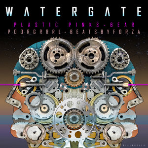 Watergate cover