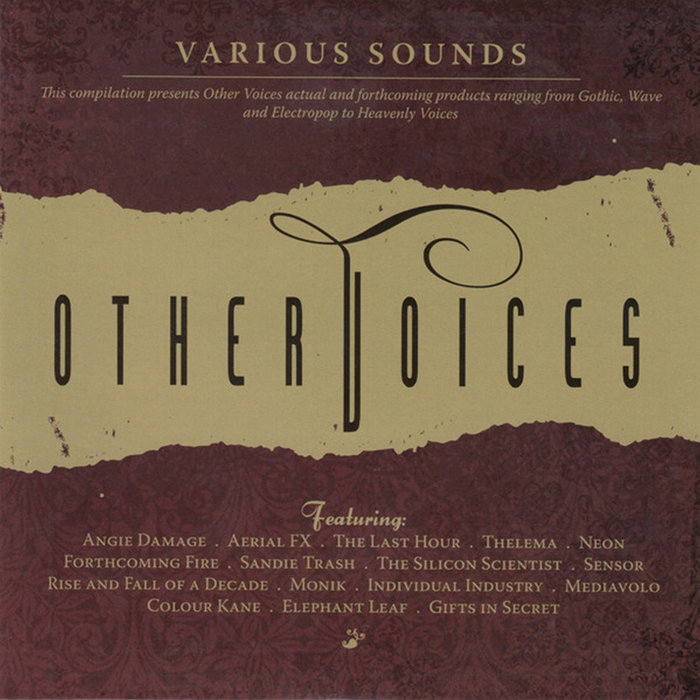 Other Voices [VOX 1 CD] | Various Artists | Other Voices Records
