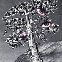 The Mountains Among Us | Volcano The Bear