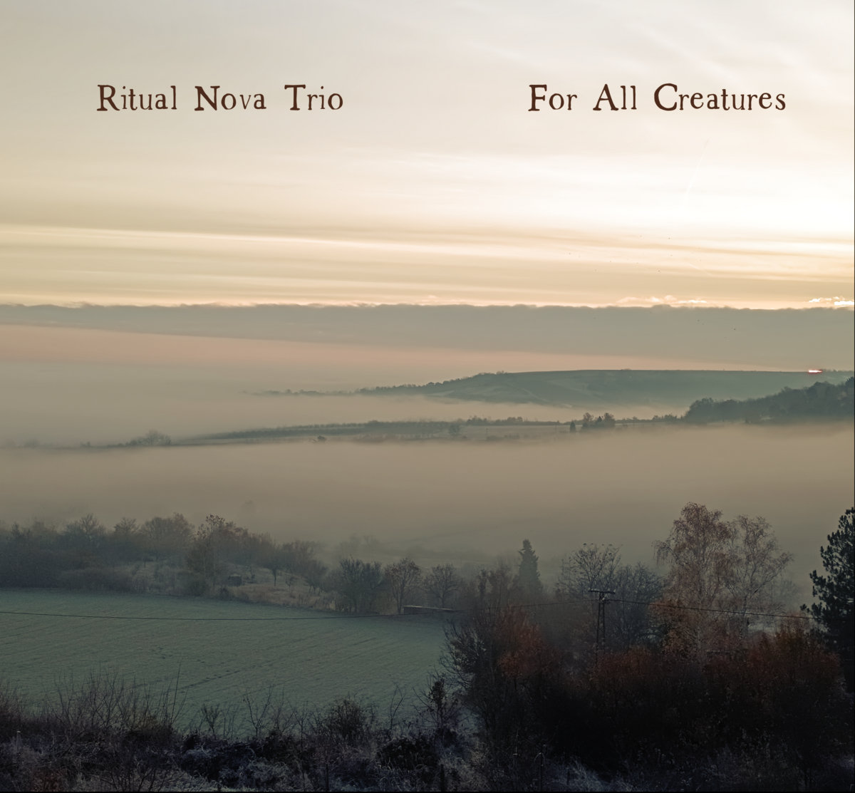 For All Creatures | Ritual Nova Trio | Boris Kovač