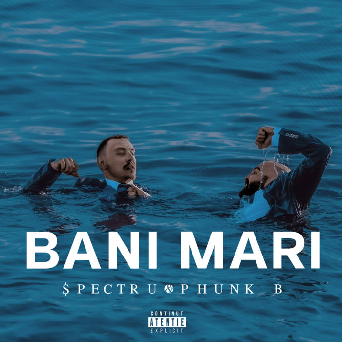 Bani Mari Cover Art