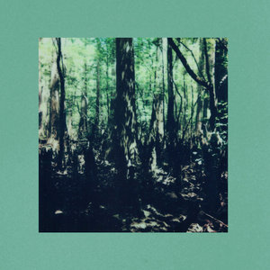 in the same roomReign of Ferns cover