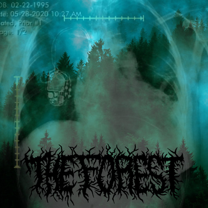 The Forest | Rotten Reputation