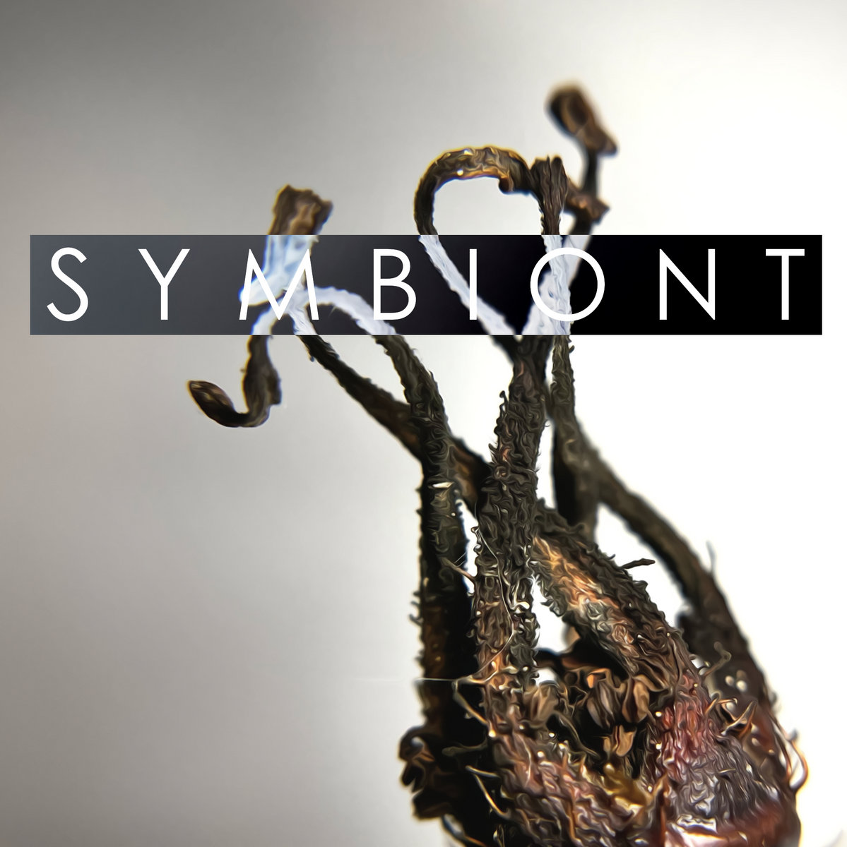 Symbiont | Michael Bell