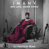 Imany - You Will Never Know (DJ Pantelis Remix)