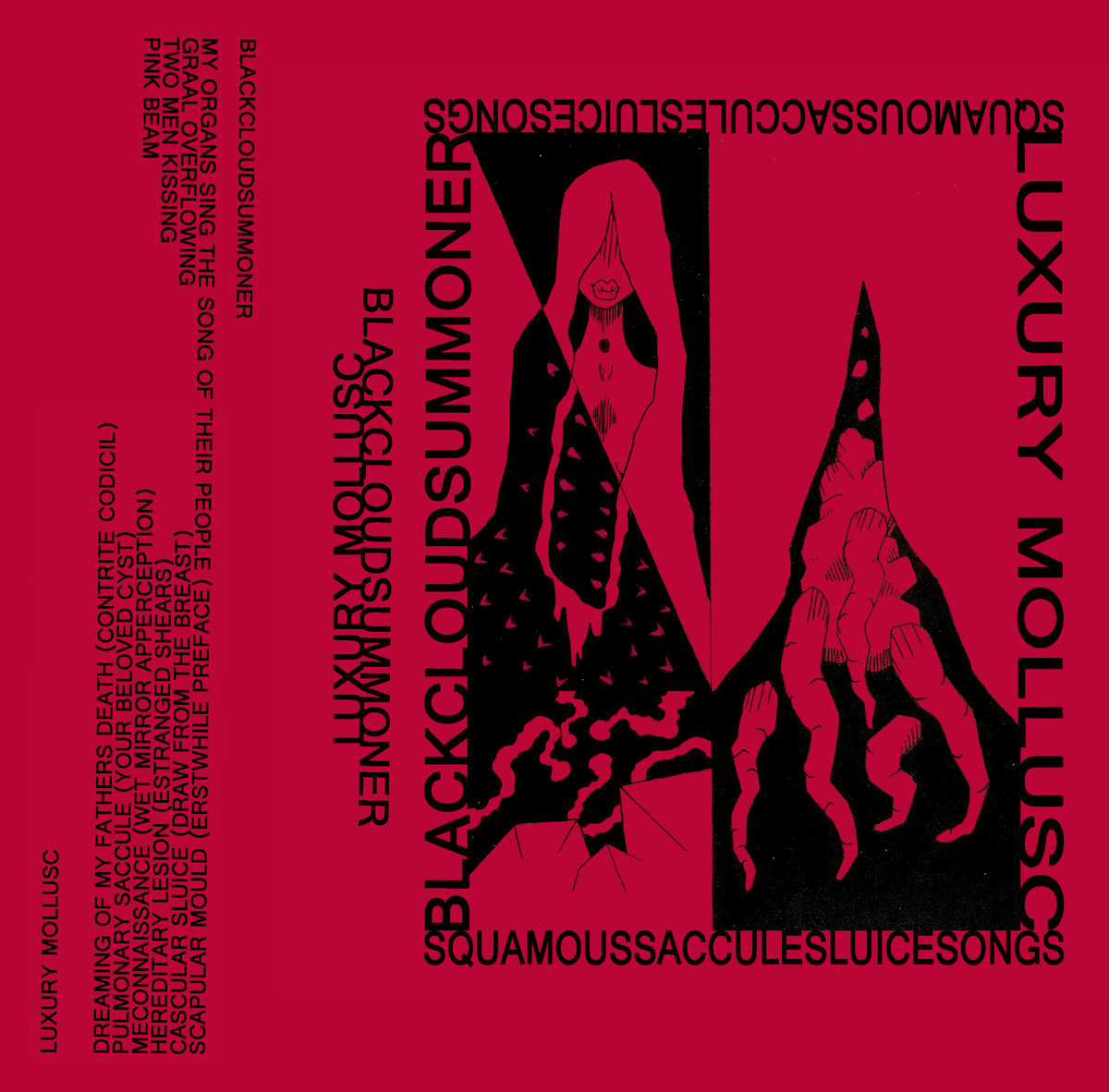 SQUAMOUS SACCULE SLUICE SONGS cover
